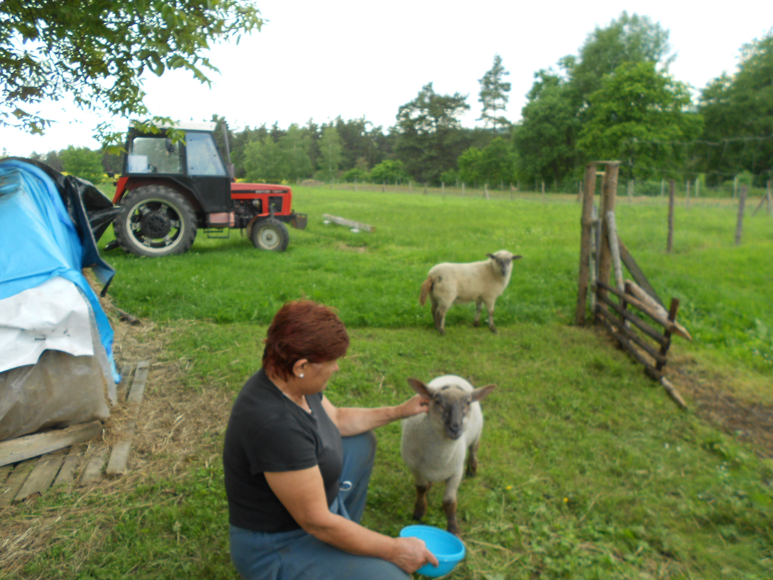 červen2013 134