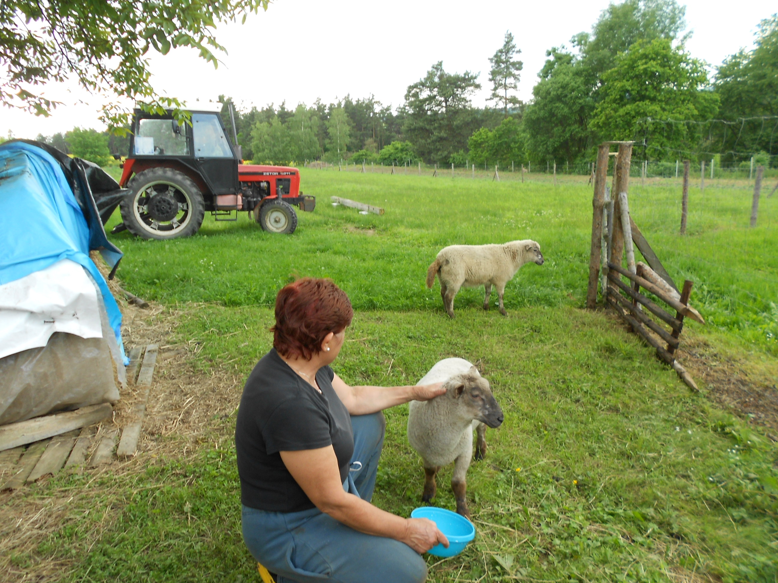 červen2013 133