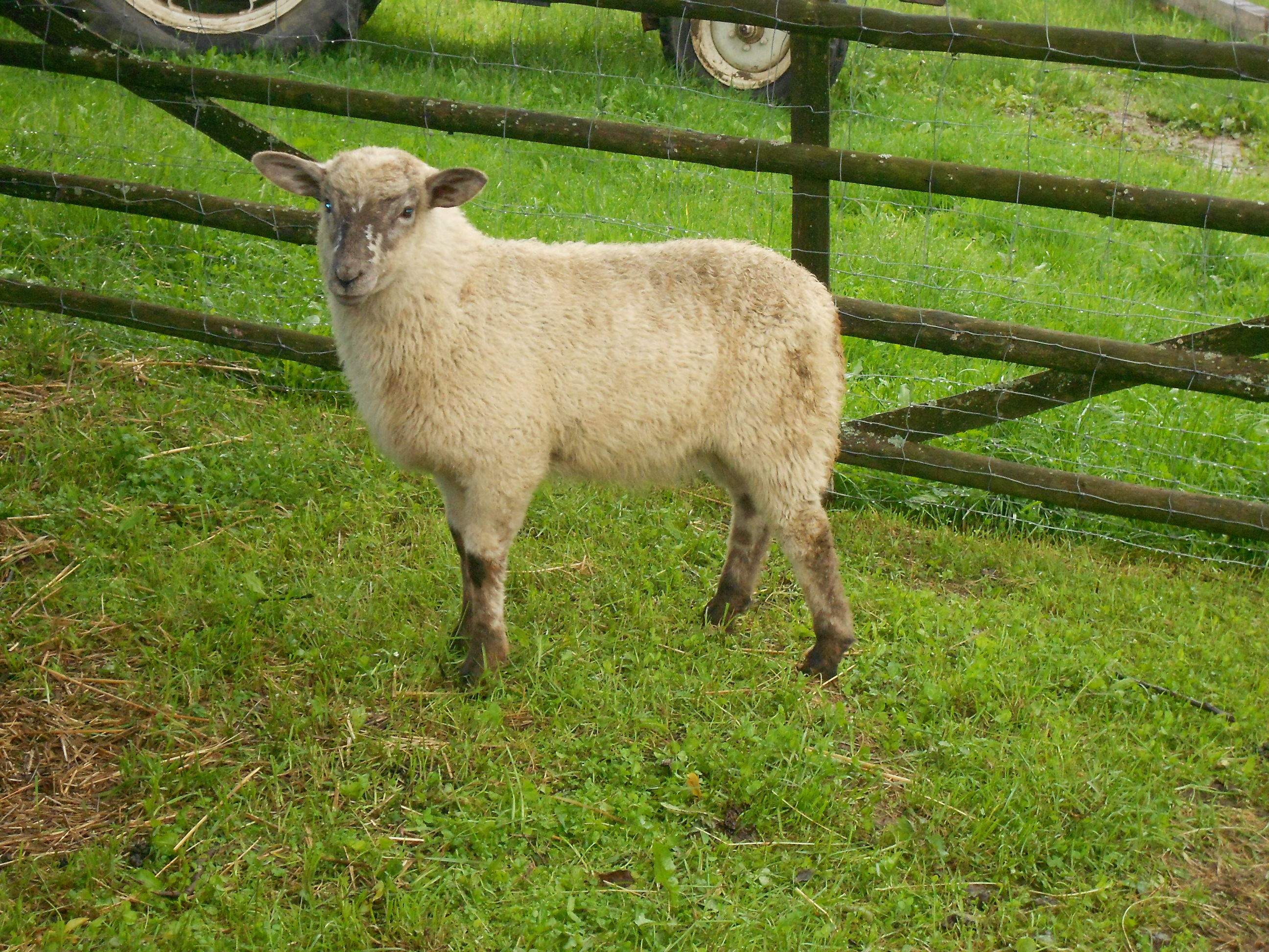 červen2013 090