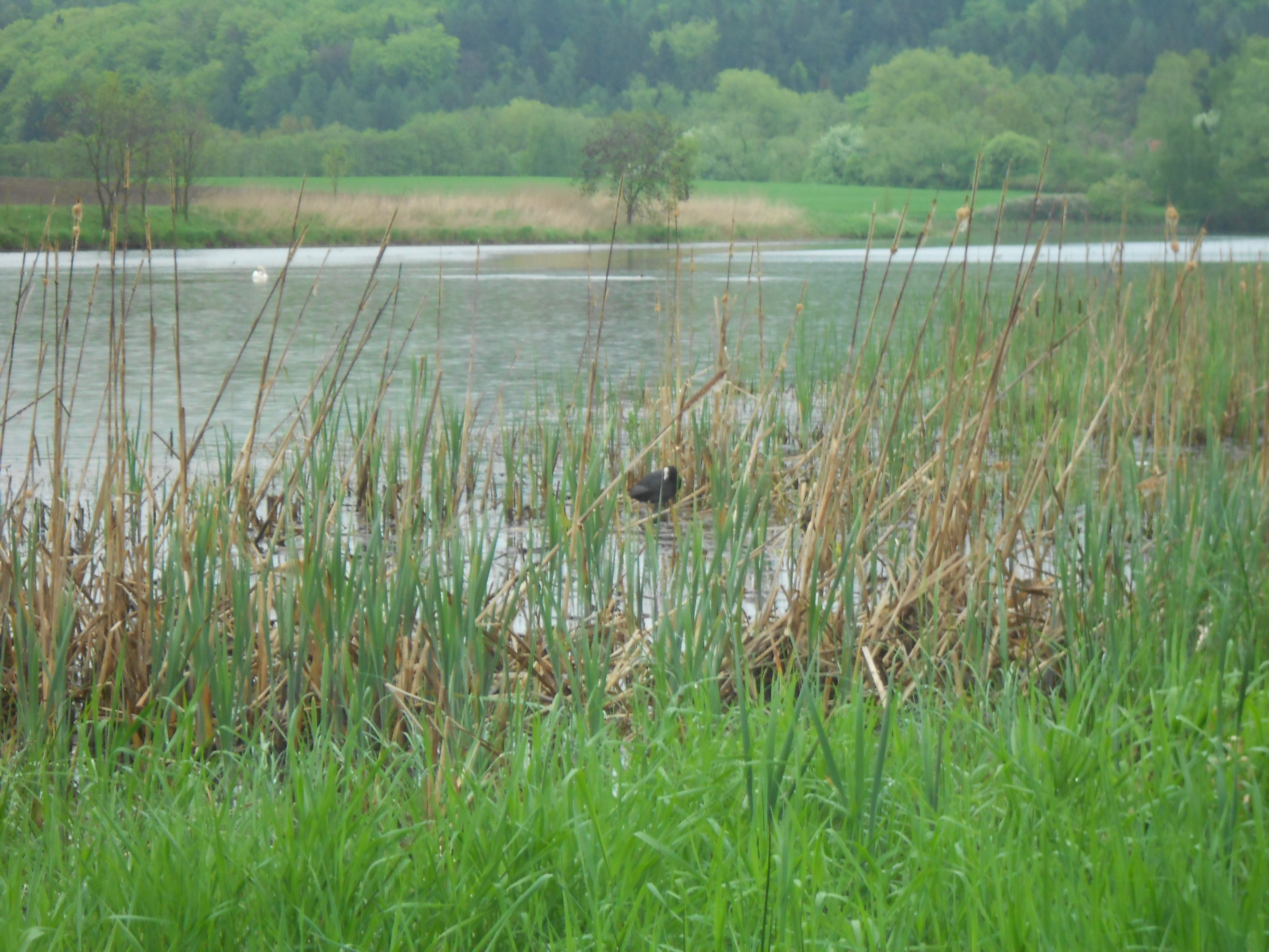 květen2013 058